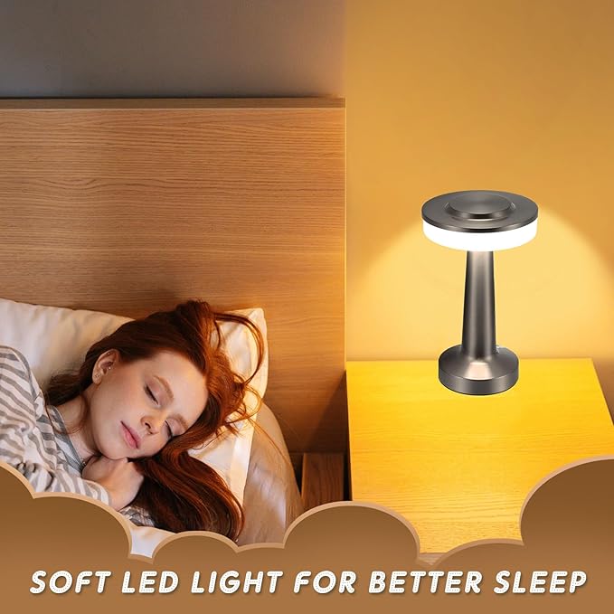 Riakrum Set of 2 LED Portable Cordless Table Lamp with Touch Sensor 3 Color Stepless Dimming Rechargeable Battery up to 15 Hours Cordless Table Light Wireless Lamp for Nursery(Silver,4 Pcs)