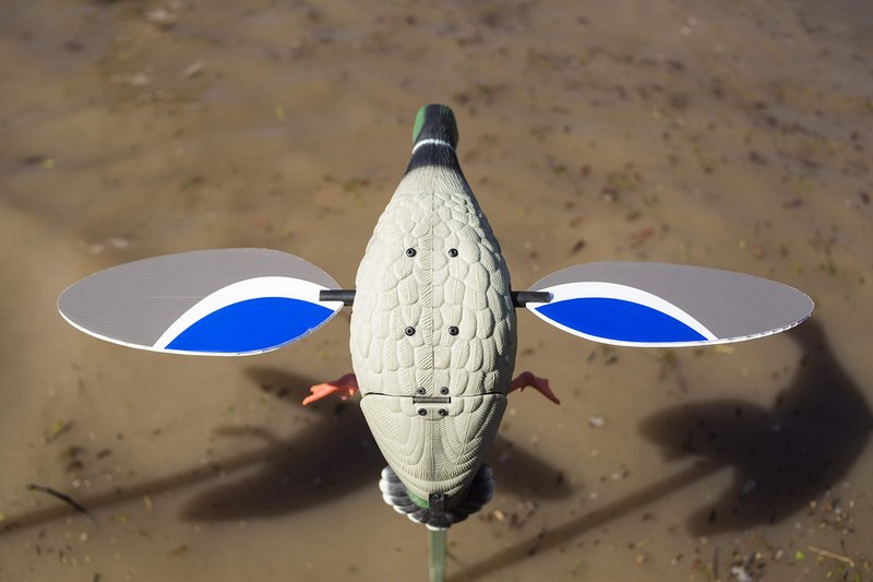 MOJO Outdoors Baby Mallard Drake Spinning Wing Decoy - Premium Waterfowl and Duck Hunting Decoy