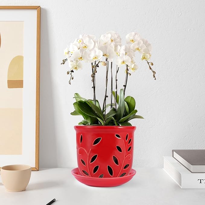 Orchid Pot with Holes & Saucer 6.1 in, Large Orchid Pot for Repotting Plant Flower, Planter with Drainage & Removable Tray for Indoor Outdoor Home Decor, Red