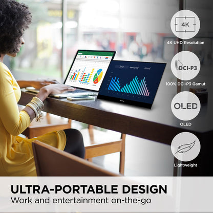 ViewSonic VX1655 15.6 Inch 1080p FHD Portable LED IPS Monitor with 2 Way Powered 60W USB C, Mini HDMI, Dual Speakers, and Built-in Stand with Tripod Mount,Black