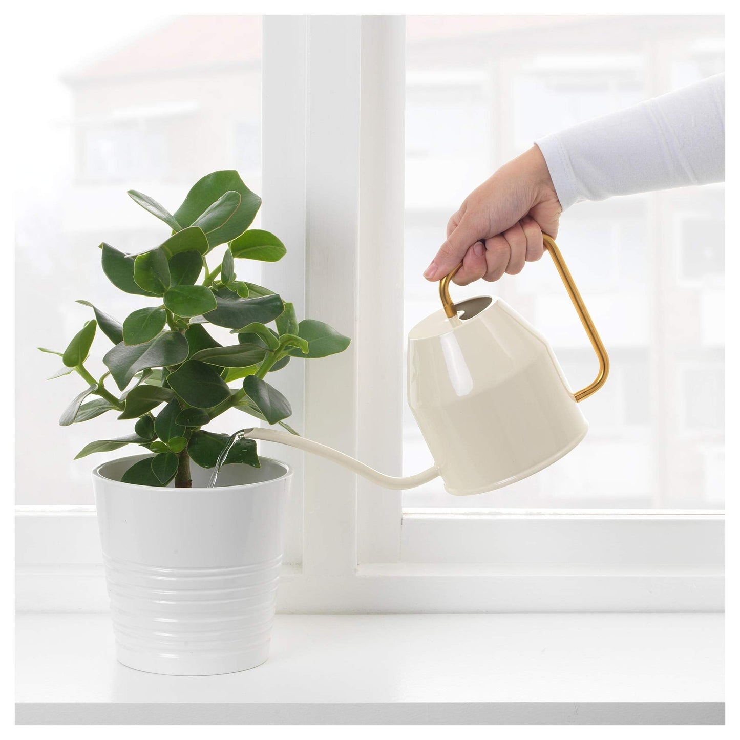 Ikea 403.941.18 Vattenkrasse Watering Can, Ivory, Gold
