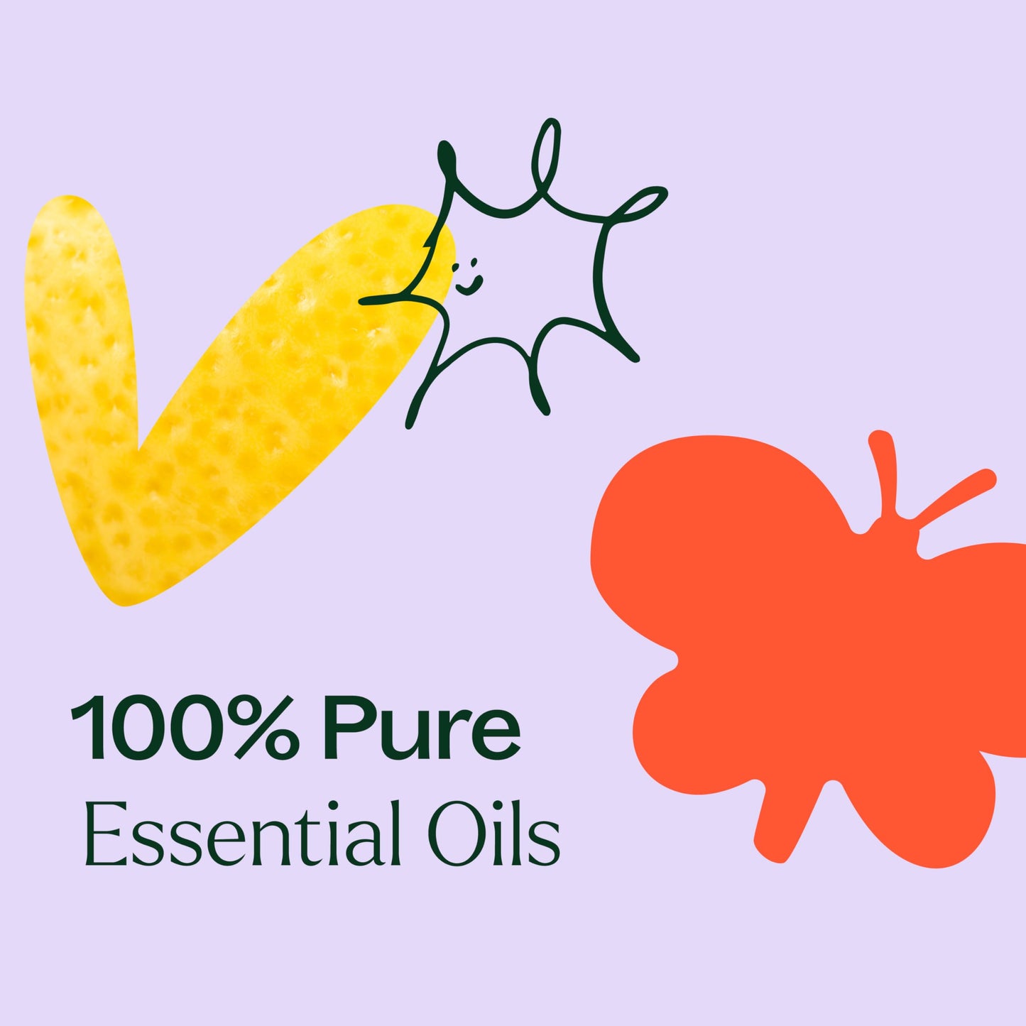 Plant Therapy Essential Oil Blends Set, Top 6 Most Popular, 100% Pure, Undiluted, Natural Aromatherapy, Therapeutic Grade, 10 mL