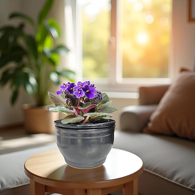 African Violet Pots Self Watering Round Ceramic Violet Pot (Gray, 6 inch)
