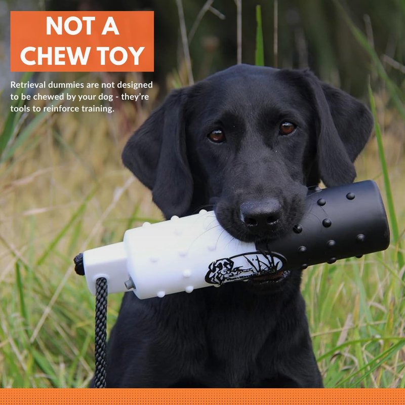 HuntEmUp 6 Pack 2" Plastic Dog Training Bumpers – Knobby Retrieving Dummy Set for Retriever & Hunting Dog Training – Floating Water Dummy – White Orange Black