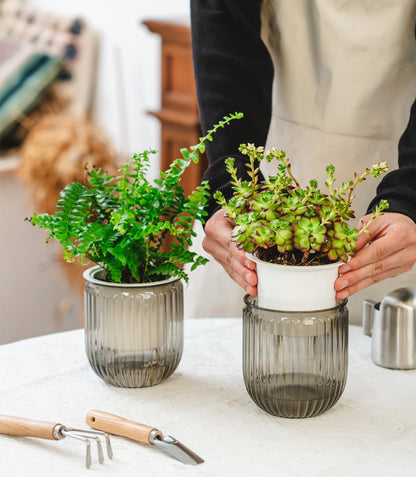 Josteve 4.5 Inch 2 Pcs Self Watering Hanging Planter Indoor Plant Pots Drainage Holes, Outdoor Small Hanging Planters Flower Pot Basket, Visible Water Level, Plant Hanger Home Decor, Gardening