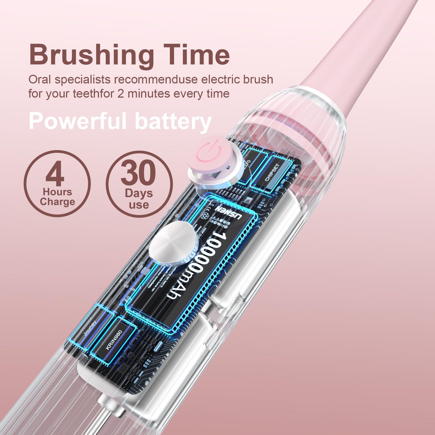 Electric Toothbrush Set with Drying & Sanitizing Holder, 8 Replacement Brush Heads, Transparent Rinse Cup, Smart Timer, USB Rechargeable for Adults