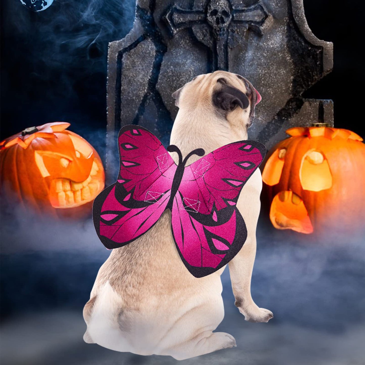 Butterfly Dog Costume Wings, Cat Dog Halloween Costumes Fairy Wings for Small Medium Large, Pet Clothes Puppy Outfit for Christmas Birthday Party Photo Props Dress up Accessories
