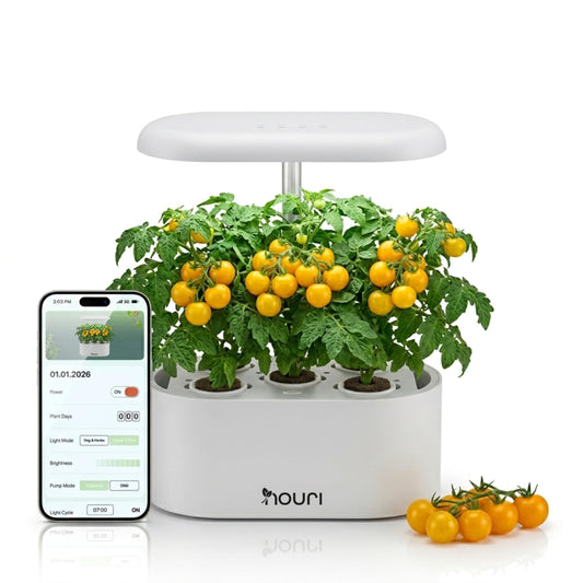 Nouri Hydroponics Growing System, 5 pod APP Smart Indoor Herb Garden Kit with LED Grow Lights, Hydroponic Herb Garden Indoor for Plant Lovers, Gardeners, Kitchen, Basil Seeds Included