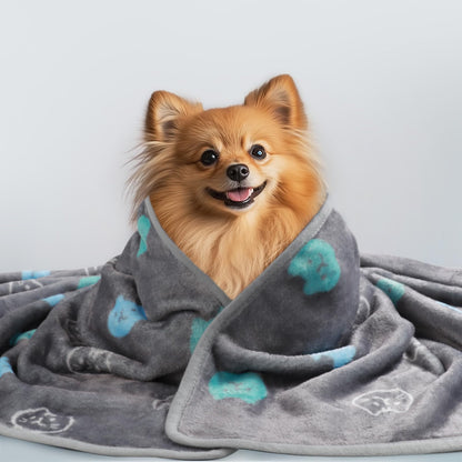 1 Pack 3 Blankets Super Soft Fluffy Premium Cute Cat Pattern Pet Blanket Flannel Throw for Dog Puppy Kitten Blue/Cyan/Grey Medium(30x20 inch)