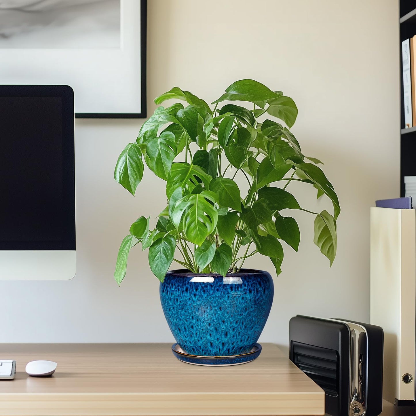 Ceramic Modern Glaze Succulent Planter Pot with Drainage Hole and Saucer 6 Inch Round Flower Plant Pot for Indoor Outdoor Herb Snake Plants