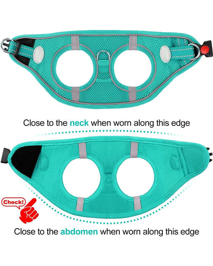 Joytale Small Dog Harness, Breathable Mesh Step-in Vest, Reflective Soft Padded Harnesses for Small and Medium Dogs, Teal, M