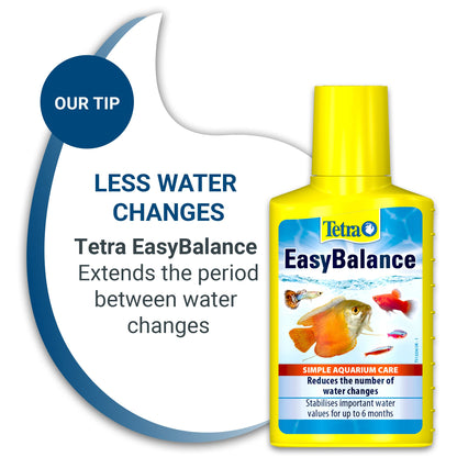 Tetra FilterActive Bacteria- mix of live starter bacteria & sludge-reducing cleaning bacteria, to support biological activity in aquarium, extend cleaning intervals & improve filter performance, 250ml