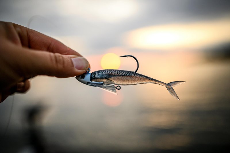 Berkley PowerBait The Champ Minnow Fishing Bait, HD Emerald Shiner, 2.5in, Irresistible Scent and Flavor, Ideal for Bass and Walleye