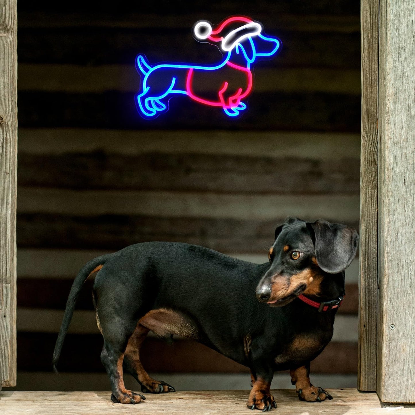 Dachshund Neon Sign Christmas Hat Neon LED Sign Weiner Dog Neon Lights for Bedroom Puppy LED Sign Animal Wall Art Cute Dog Neon Light Up Sign for Pet Shop Party Decor Christmas Gift