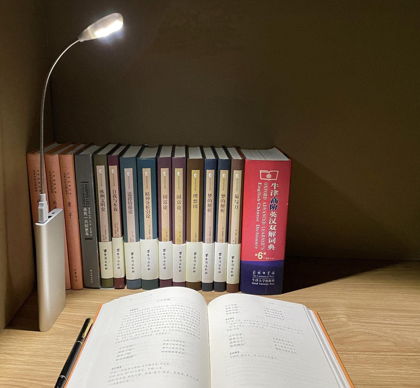 LED USB Reading Lamp Light with 2-Brightness Dimmable Setting, Flexible Gooseneck USB Light for Notebook Laptop Keyboard, Powerbank(On/Off Switch, 1 White+1 Mini USB Light)