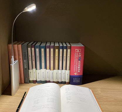 LED USB Reading Lamp Light with 2-Brightness Dimmable Setting, Flexible Gooseneck USB Light for Notebook Laptop Keyboard, Powerbank(On/Off Switch, 1 White+1 Mini USB Light)