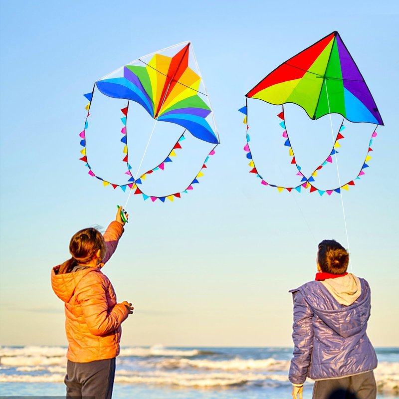Flying Hoofer Large Rainbow Delta Kites for Kids & Adults,Single Line Beach Kite for Kids Ages 4-8 & 8-12,Easy Fly Kite for Toddlers and Beginners(2 Pack).