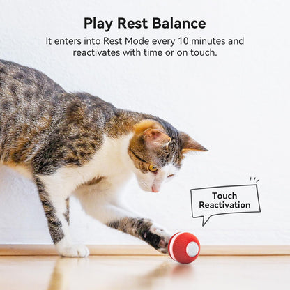 Cheerble Interactive Cat Ball Toy, Automatic Moving Ball Puzzle Toy for Indoor Cat Kitten, Smart Anti-Depression Pet Toy Fun Gift with Light, Red