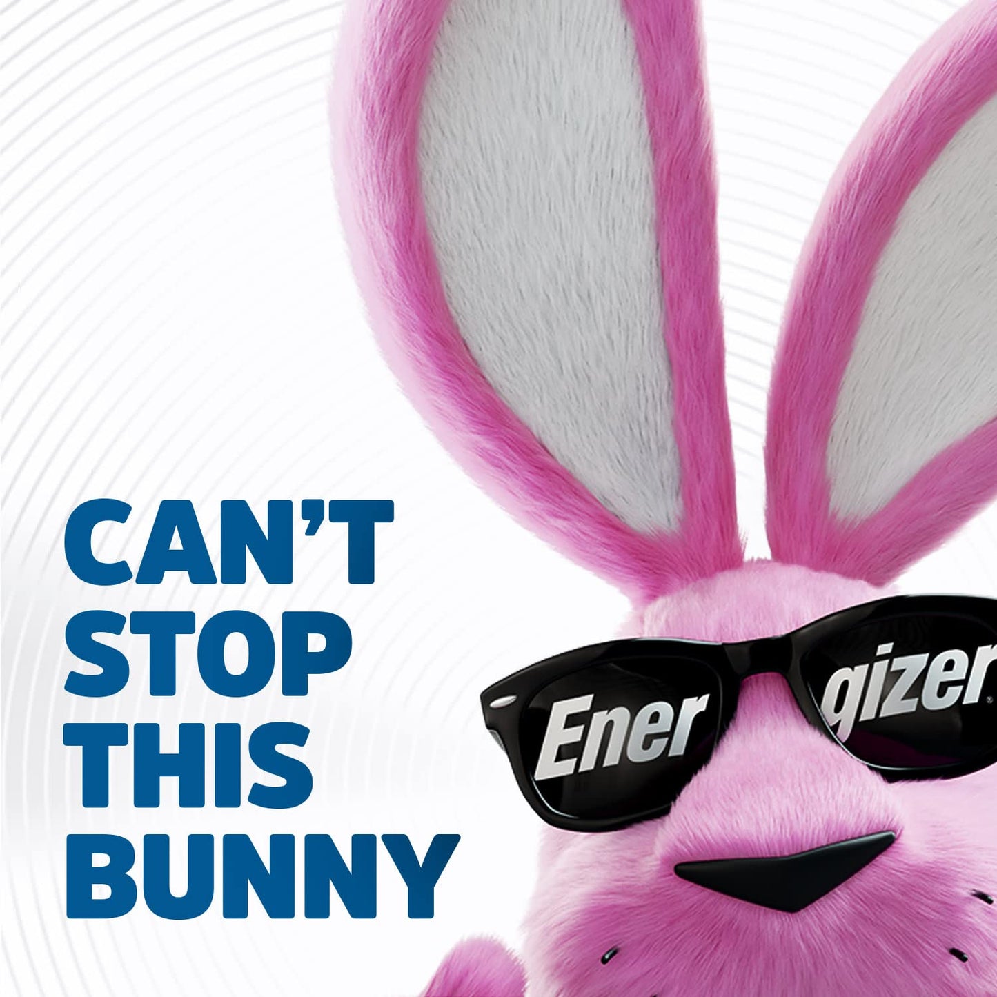 Energizer AA Batteries, Ultimate Double A Battery Lithium, 12 Count