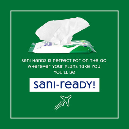 Sani Hands - Anti-bacterial Hand Wipes - Dermatologically Tested, Biodegradable Wet Wipes - 10x12 Wipes (120 Wipes)