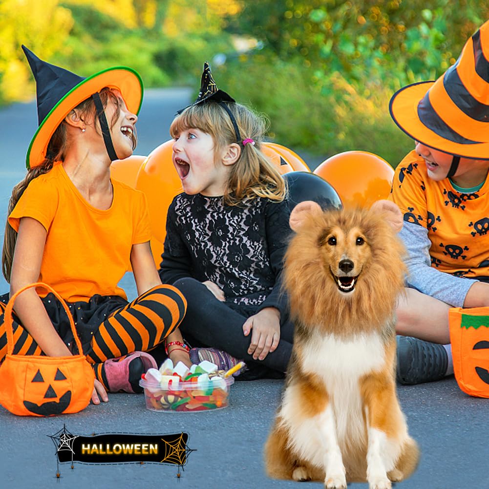 Vivifying Lion Mane Wig, Adjustable Pet Costume with Ears for Dog (Brown)