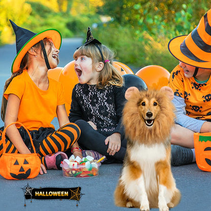 Vivifying Lion Mane Wig, Adjustable Pet Costume with Ears for Dog (Brown)