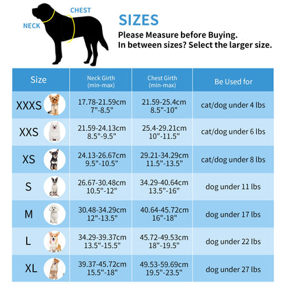 AIITLE Step in Dog Harness and Leash Set - Summer No Pull Escape Proof Vest Harnesses with Soft Mesh and Reflective Bands, Adjustable Pet Outdoor Harnesses for Small and Medium Dogs Royal Blue M