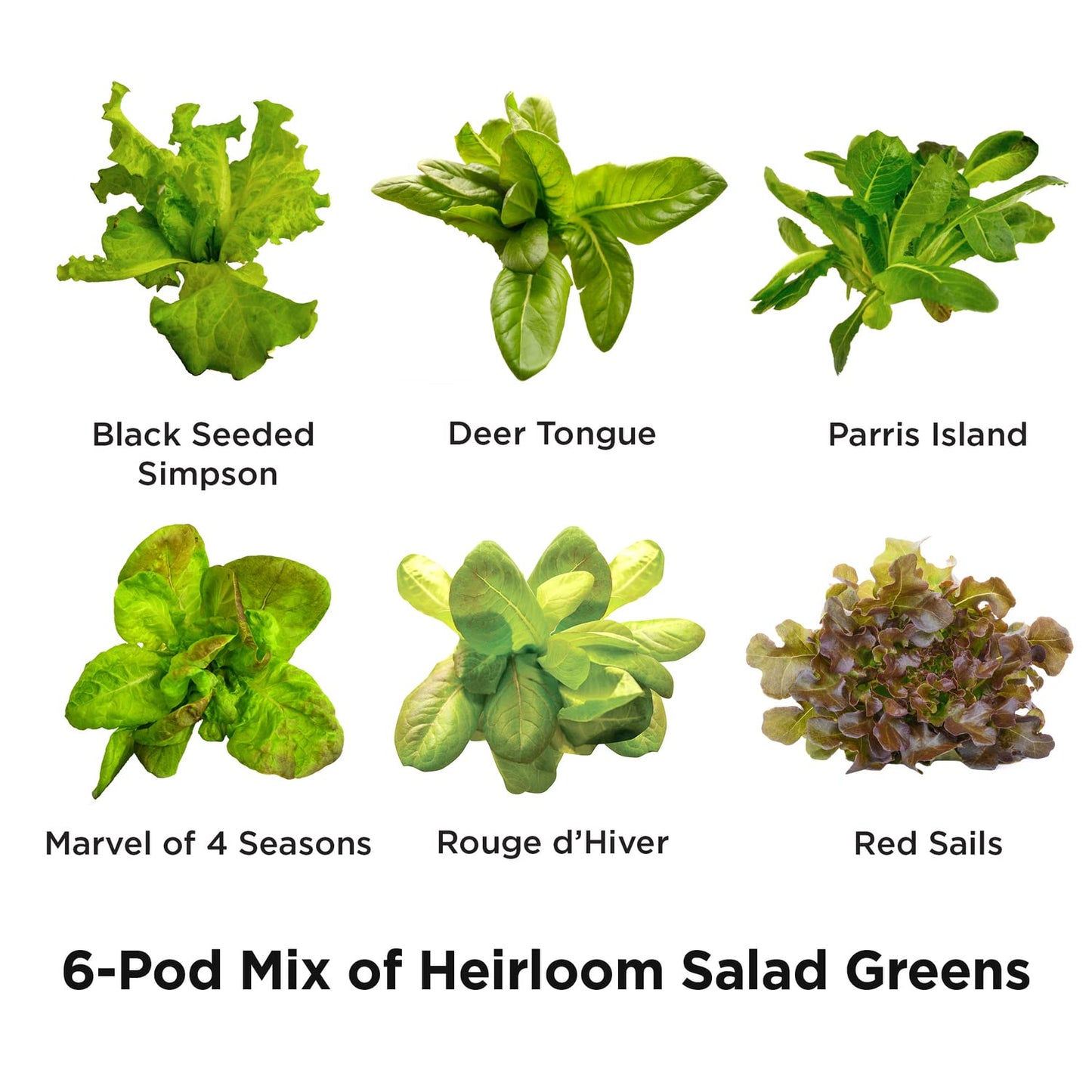 AeroGarden Heirloom Salad Greens Mix Seed pod Kit with Pre-Seeded Grow pods, Liquid Plant Food, and Growing Guide, 6-Pod