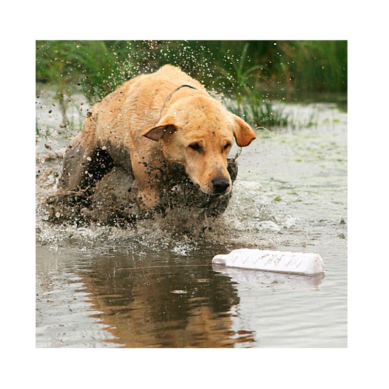 Avery ASD 2" HexaBumper Hunting Sporting Gun Dog Game Retriever Dummy | Water & Upland Mark Training Retrieval Tool | Hexagonal, Floating Design, Easy-Grip Texture, Throw Rope, 6 Pack, White (02711)