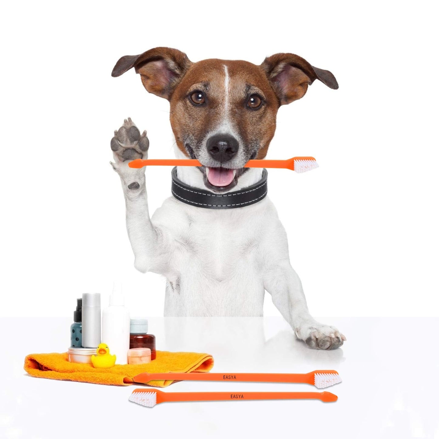 EASYA Double Headed Pet Dog Toothbrush for Small Dogs/Soft Bristles Puppy Long Handle Tooth Brush Dogs Teeth Cleaning/Bulk Toothbrushes (MIXED10)