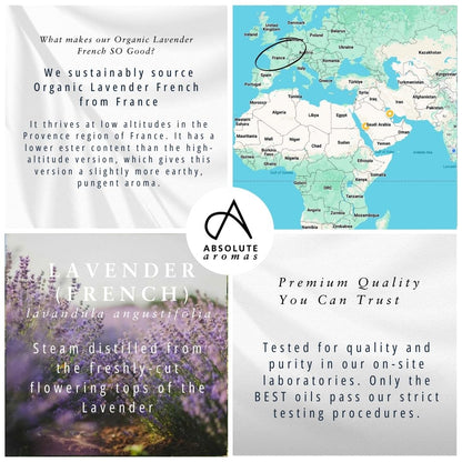 Absolute Aromas Organic Lavender Essential Oil 10ml - 100% Pure, Natural, Vegan, Undiluted and Cruelty-Free - for use in Diffusers, Oil Burners and Aromatherapy Blends