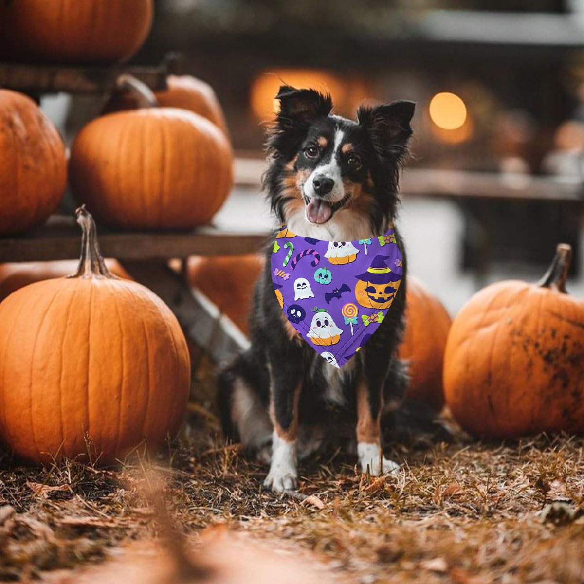 Halloween Dog Bandanas 2 Pack Multiple Adorable Halloween-Themed Patterns, Durable Fabric Halloween Pet Scarf, Suitable for Small, Medium, and Large Breed Dog' Halloween Party Dog Bandana