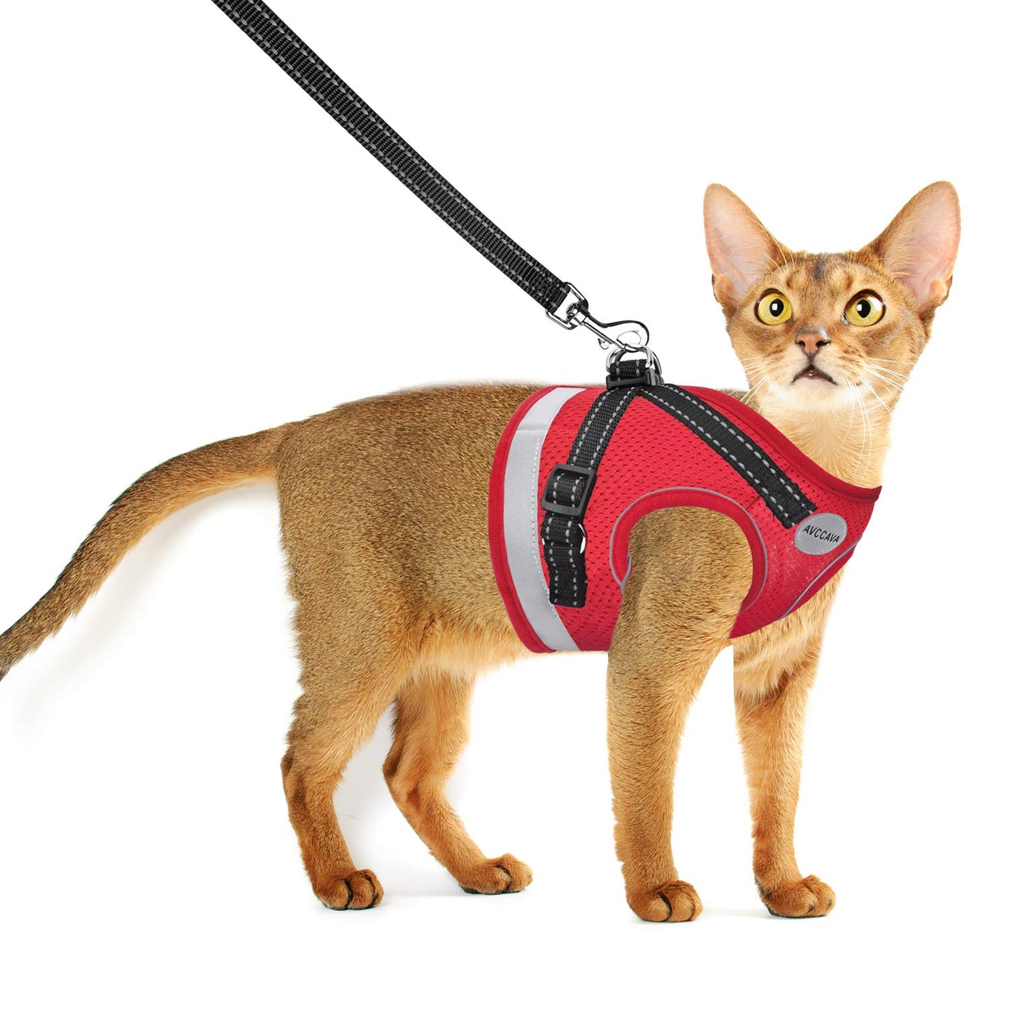 Cat Harness and Leash for Walking, Kitten Escape Proof Harnesses, Adjustable Reflective Puppy Harness with Leashes Set, Easy Adjustable Soft net Breathable Pet Safety Vest