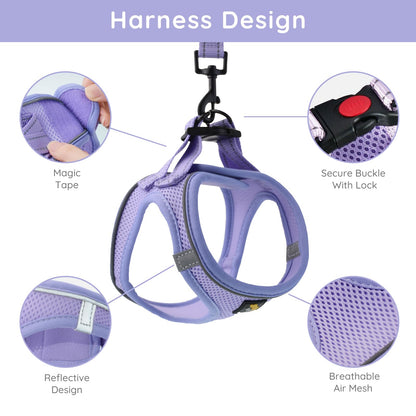 BELLA & PAL Dog Harness and Leash Set, Step-in Puppy Harness, Breathable Air Mesh with Reflective Strips, No Pull Vest for Puppies/Extra Small/Small Dogs, Purple, S
