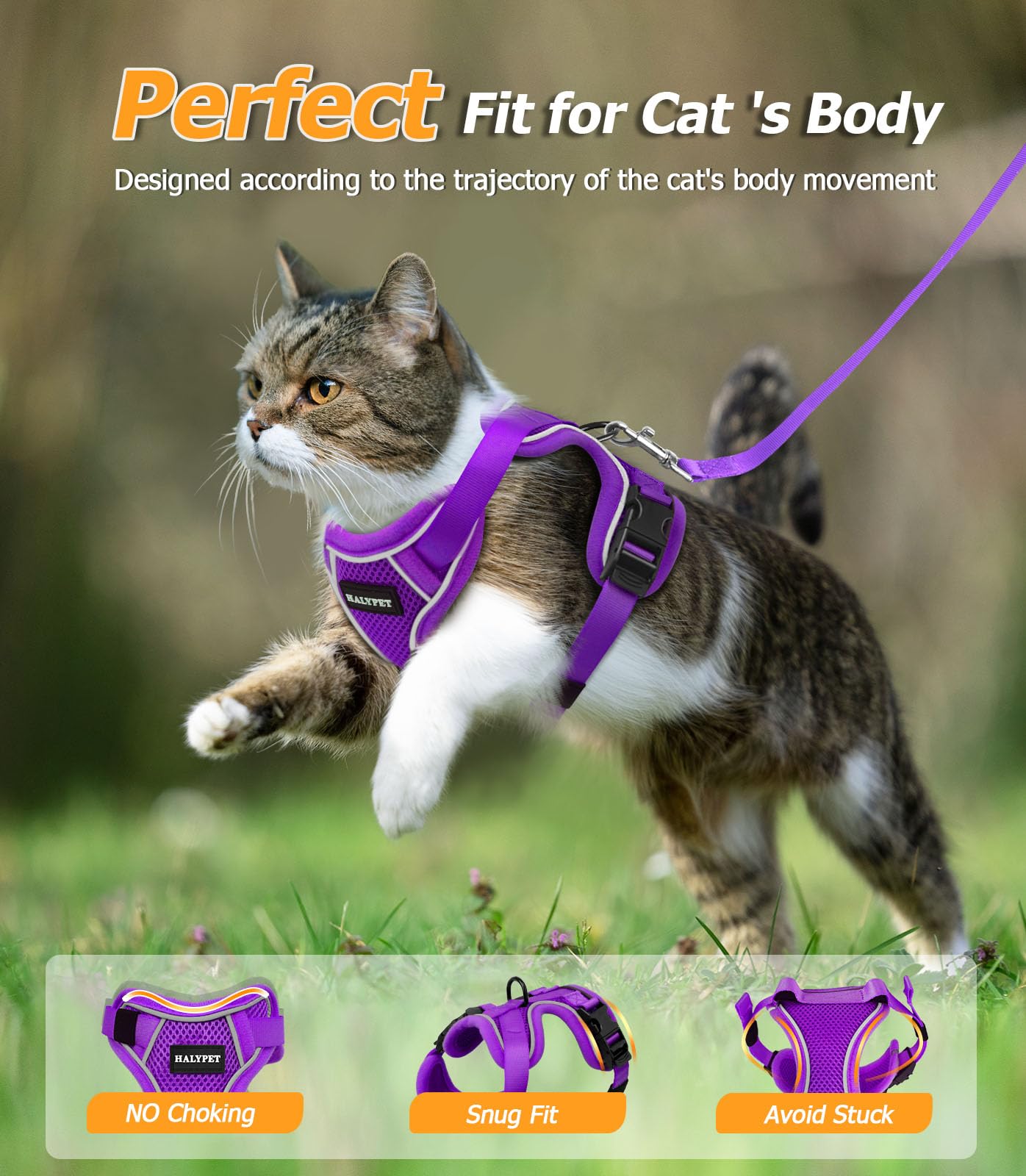 Halypet Cat Harness and Leash Set [MAX Safety 4th-Gen Upgrade] Escape Proof Adjustable Cat Leash Comfortable Soft Vest Easy to Wear Kitten Harness with Reflective Strip for Cats Walking, XS Purple