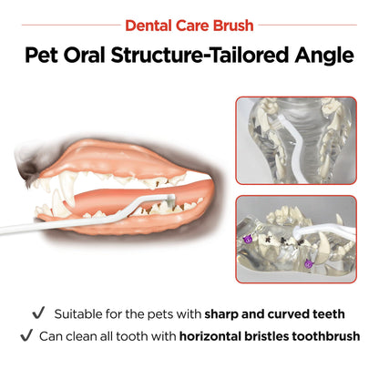 JAYU PET Dental Care Brush (Soft Bristles) 1ea - Dog Toothbrush, Cat Toothbrush, Dental Care for Kitten and Small Dogs, Removing Old Plaque and Tartar, Cat Teeth Brushing & Easy Cleaning