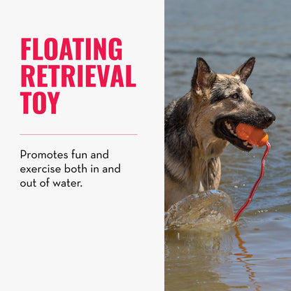 KONG - Aqua - Floating Fetch Toy for Water Play - For Medium Dogs
