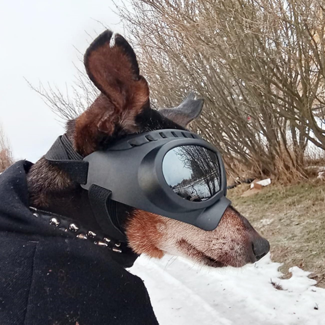 NAMSAN Dog Goggles Eye Protection Dog Sunglasses Anti-UV Goggles Windproof Puppy Goggles with Adjustable Flexible Straps for Small/Medium Dogs (Silver)