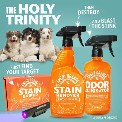ANGRY ORANGE Pet Odor Eliminator Kit for Dog Urine - Citrus - 24 oz + UV Flashlight