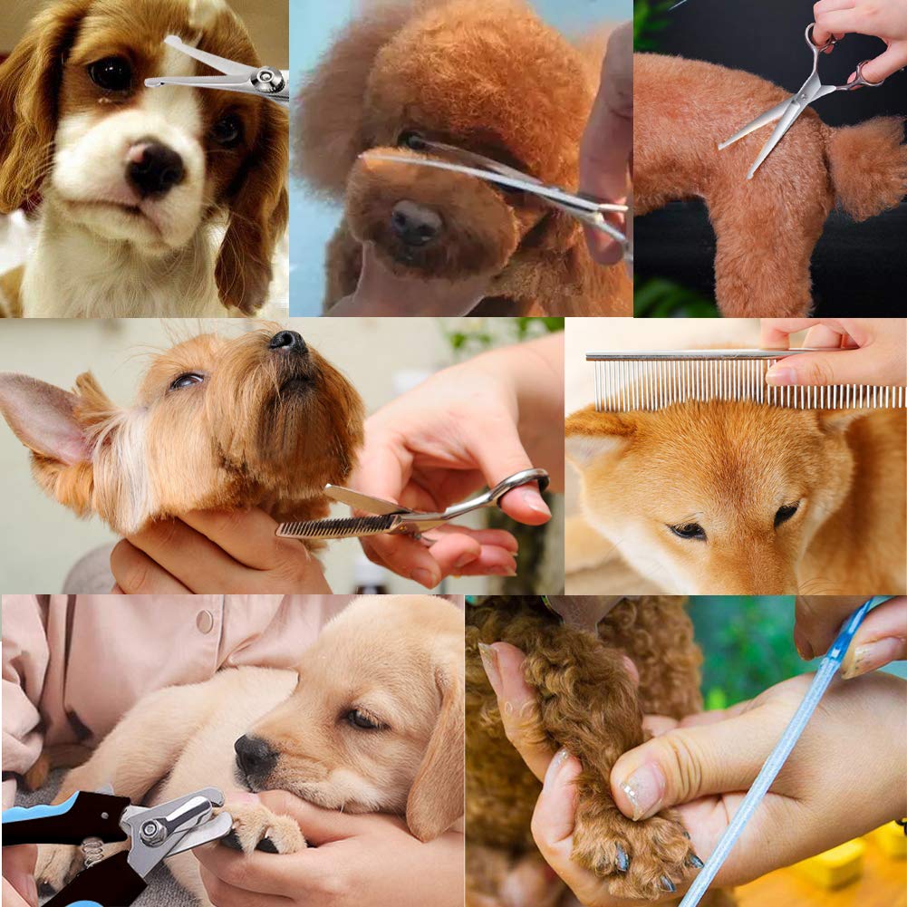 Freewindo Dog Grooming Scissors Kit, Safety Round Tip, Heavy Duty Stainless Steel Dog Scissors and Nail Clippers, 6 in 1 Dog Grooming Kit