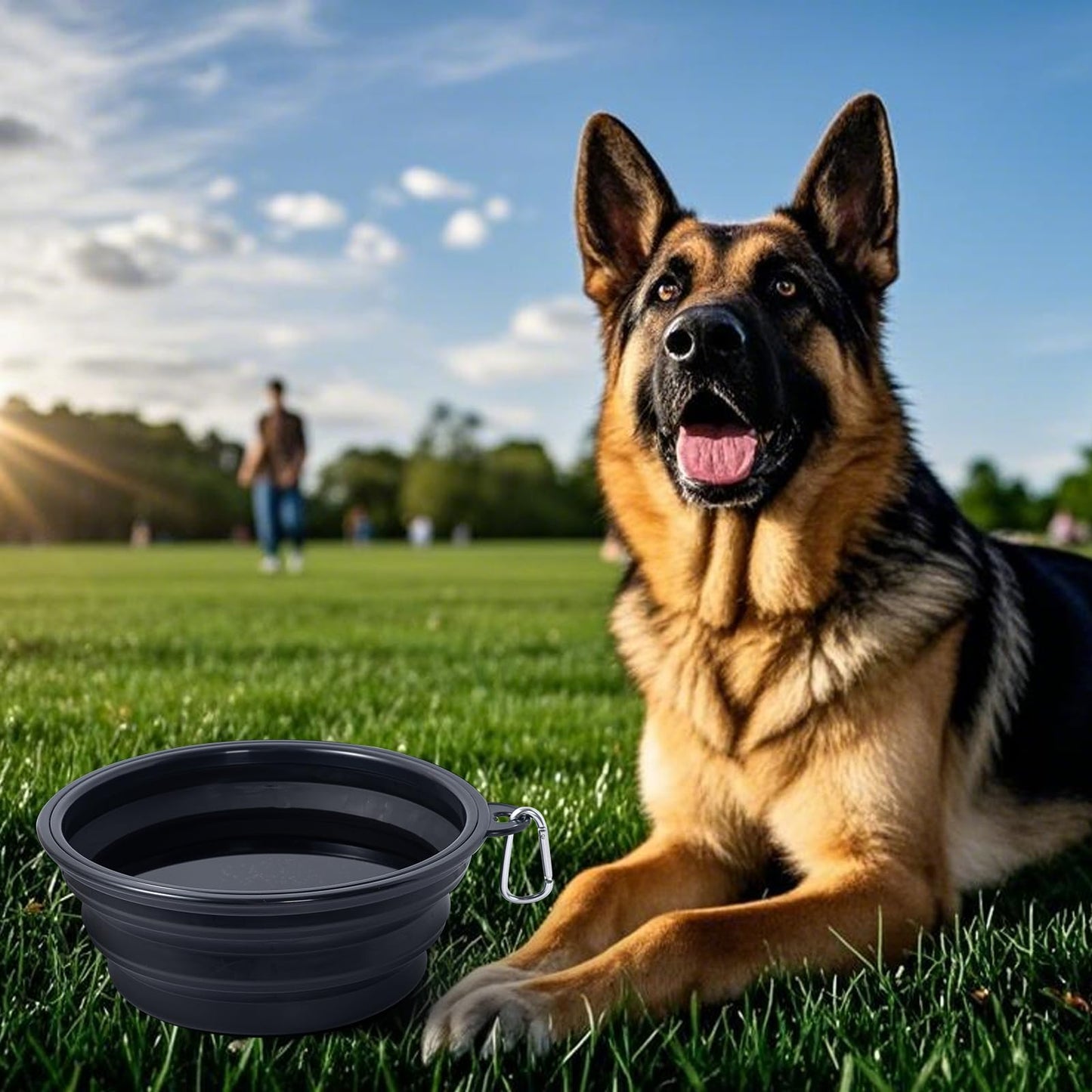Dog Bowl Pet Collapsible Bowls, 2 Pack for Cats Dogs, Portable Pet Feeding Watering Dish for Walking Parking Traveling with 2 Carabiners (Small, Blue+Green)