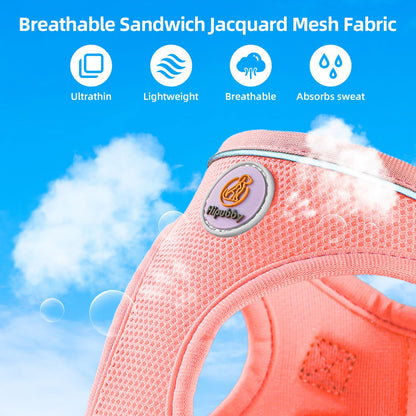 Hipubby Dog Harness and Leash Set, No Pull Soft Mesh Puppy Harness for Small Medium Dogs, Cats - Step in Adjustable Reflective Pet Harness with Buckle and Double D-Rings - Pink, XS