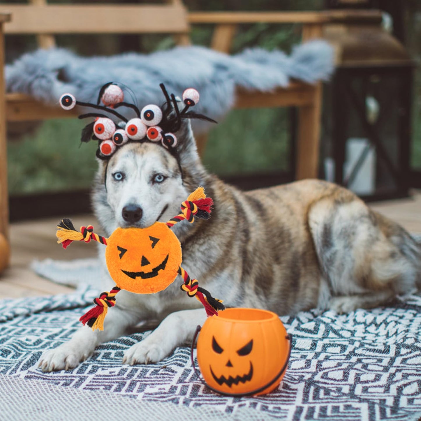 PUPTECK Halloween Dog Squeaky Chew Toys - 3 PCS Funny Pumpkin Plush Stuffed Toys for Puppy Pet Tugging Playing