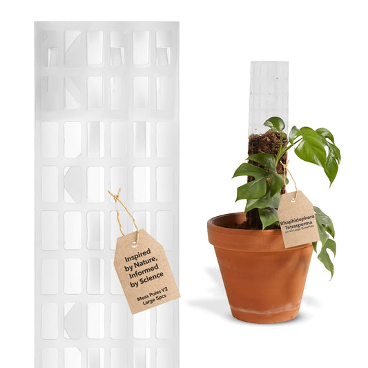 THICCLY V2 GrowPole Large 5 Pcs – Patented D-Shape Moss Pole for Climbing Plants, Moisture-Locking Closed Back, Stackable Monstera & Philodendron Support