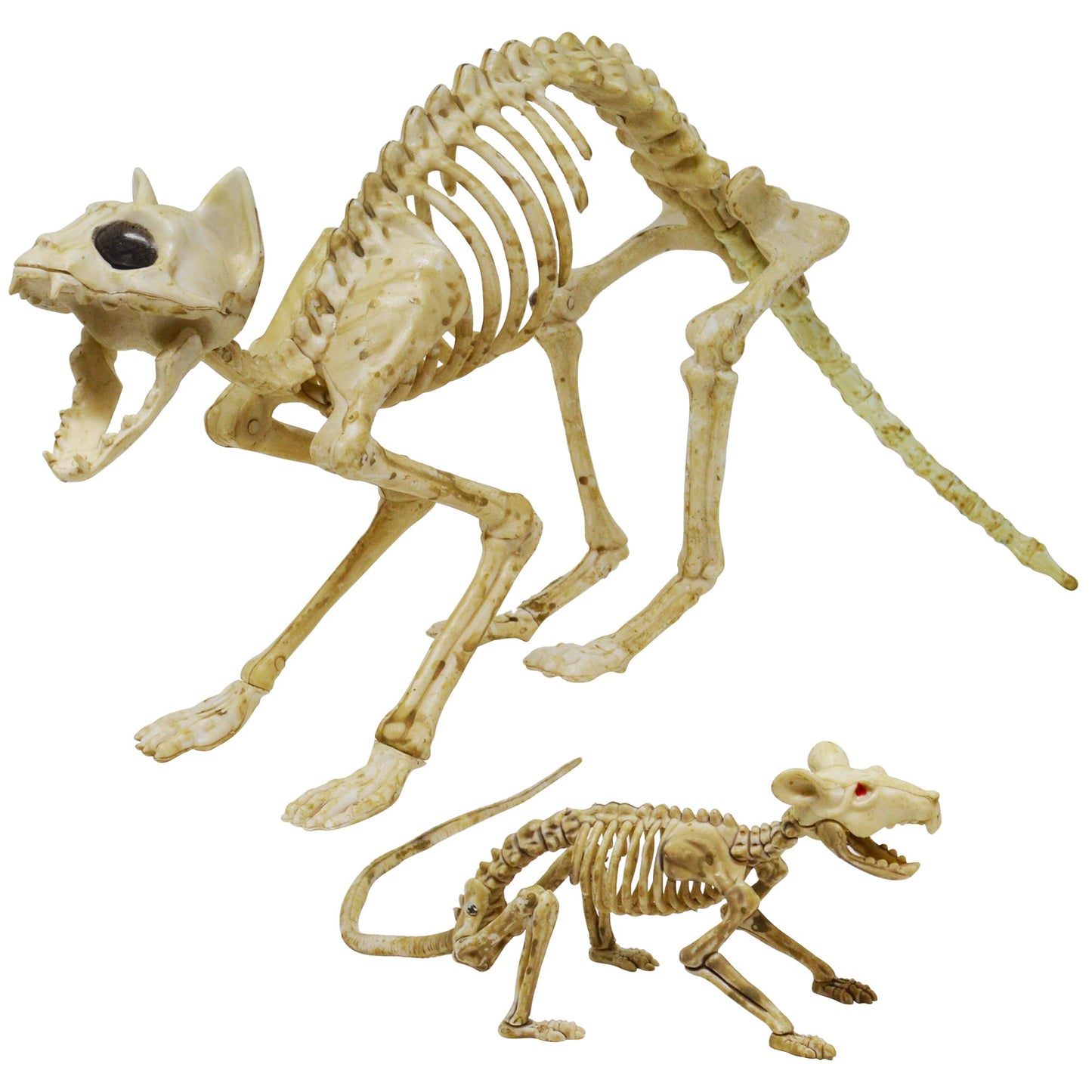 Skeleton Cat and Rat Skeleton for Halloween Decorations, Skeleton Animal Yard Decor and Reaper Bones Animals