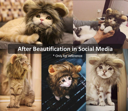 Cat Lion Mane Halloween Pet Costume Kitten Outfits Party Dress Up Apparel Kitty and Cat Costumes (Cat Lion Mane)