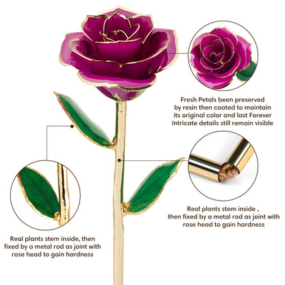 Gold Dipped Rose Real 24K Gold Rose, Genuine One of a Kind Rose Hand Dipped in 24K Golden Roses Romantic Gifts for Women in Her Birthday Anniversary Valentines Day Mothers Day