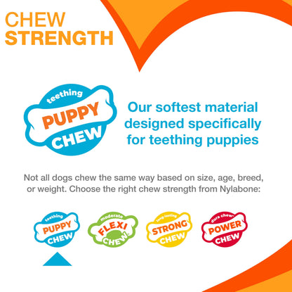 Nylabone Puppy Teething Chew Toy Freezer Bone with Soothing Cloth, Peanut Butter Flavour, S, for Puppies Up to 11 kg