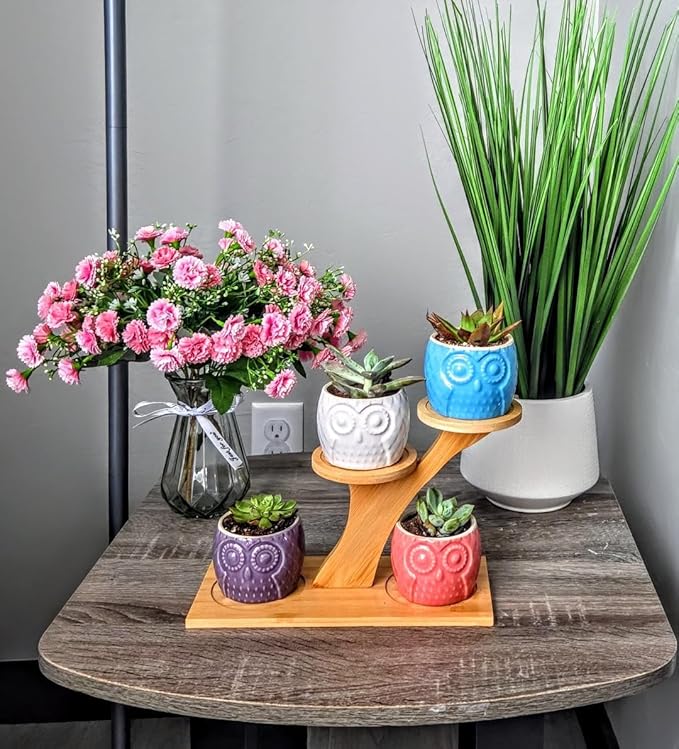 Blisse Wood Owl Planter (White)