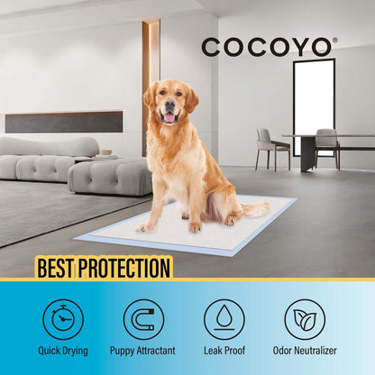 COCOYO Best Value 22"x22" Dog Training Pads 50 Count | Dog Pee Pads | Super Absorbent Puppy Pads,White